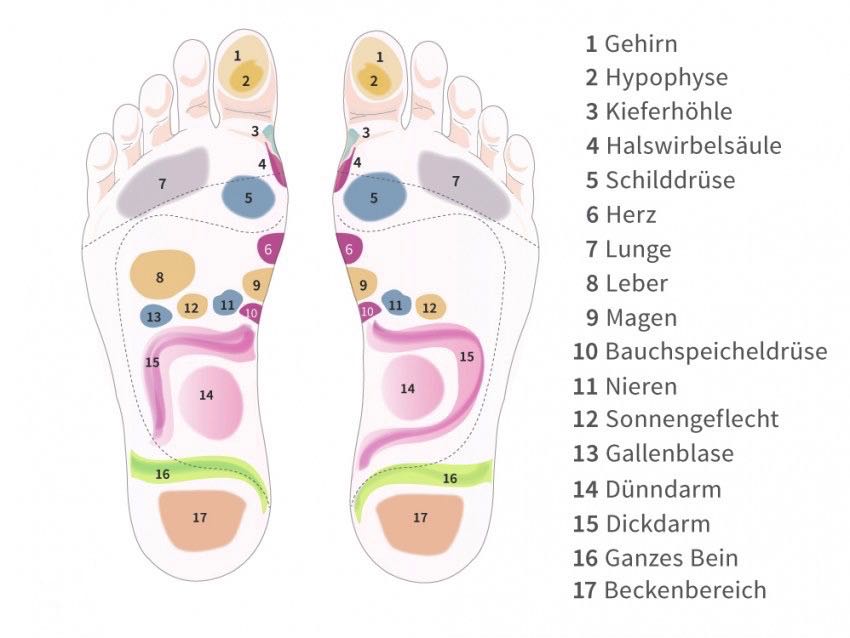 fussreflexzonen-850x638